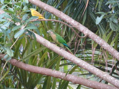 Vista Da Mata Dm, Conforto E Lazer Junto A Natureza