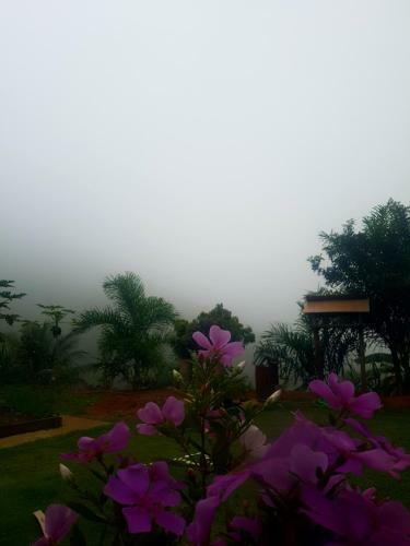 Vista Da Mata Dm, Conforto E Lazer Junto A Natureza