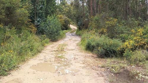 Glamping Altos De Quiluva