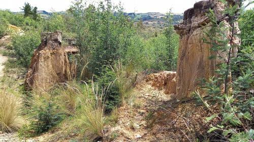 Glamping Altos De Quiluva