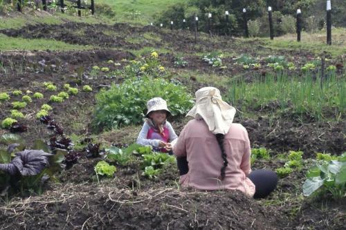 Un Refugio En Las Monta�as De Tabio