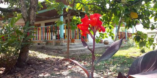 Agroturismo Finca Las Margaritas