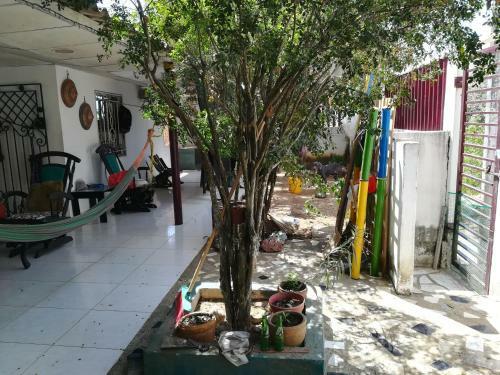 Agroturismo Tubar� Rancho Mocan�