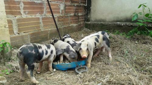 Agroturismo Tubar� Rancho Mocan�