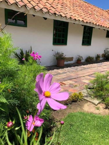 Hotel Hostal San Nicol�s