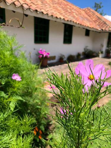 Hotel Hostal San Nicol�s