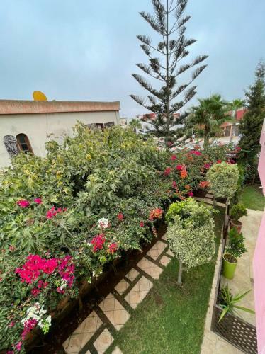Duplex A Sidi Bouzid