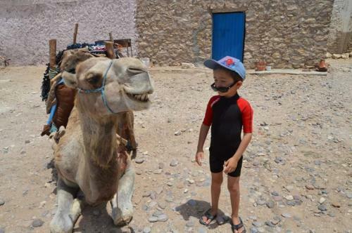 Hostal Dar Boujdaa