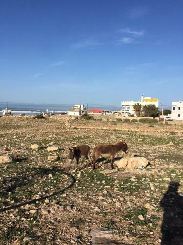 Hostal Dar Boujdaa