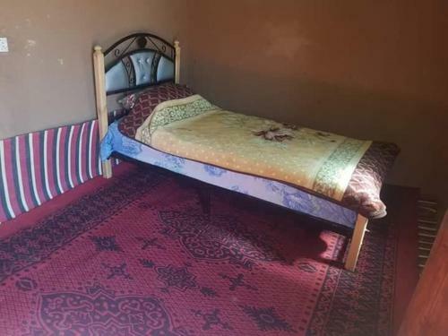 Bed & Breakfast Comping D�sert Bono