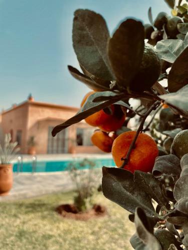 Apartamento Chalet Berb�re