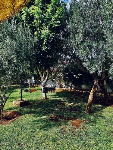 Apartamento Chalet Berb�re
