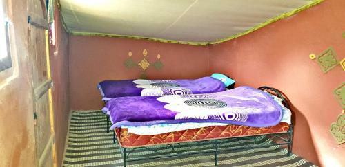 Safari Camp Tours