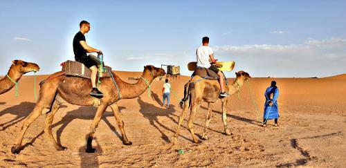 Safari Camp Tours
