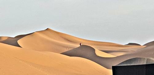 Safari Camp Tours