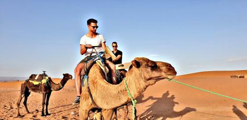 Safari Camp Tours