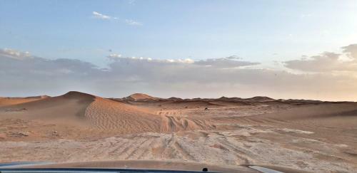 Safari Camp Tours