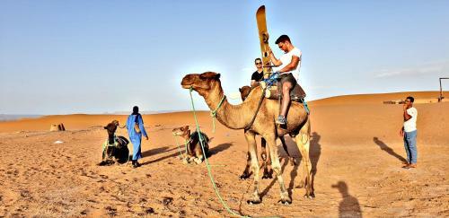Safari Camp Tours