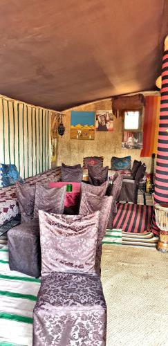 Safari Camp Tours
