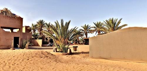 Safari Camp Tours