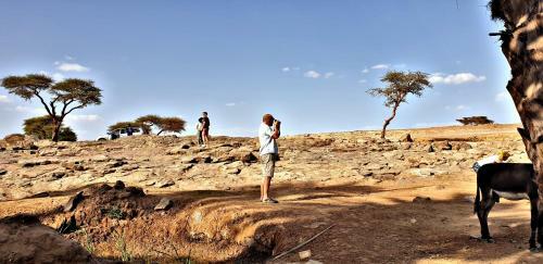 Safari Camp Tours