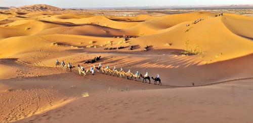 Safari Camp Tours