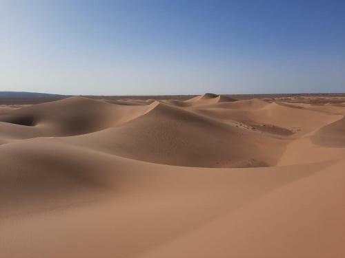 Bivouac Amaya