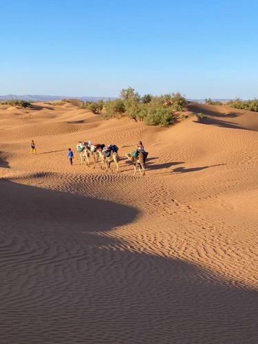 Bivouac Amaya