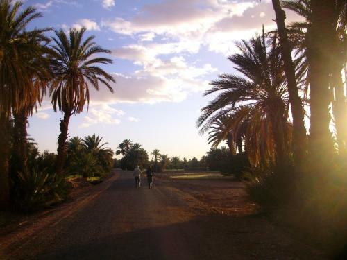 Posada Auberge T�n�r�