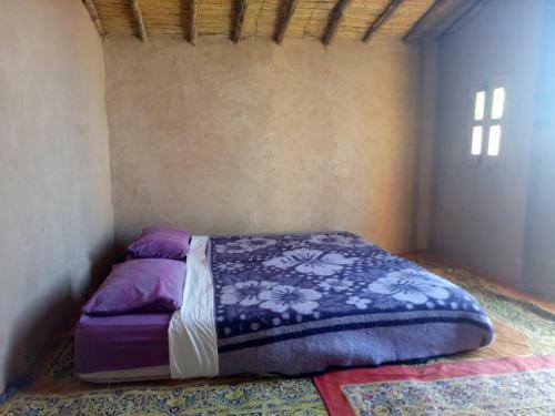 Lodge Sahara Peace