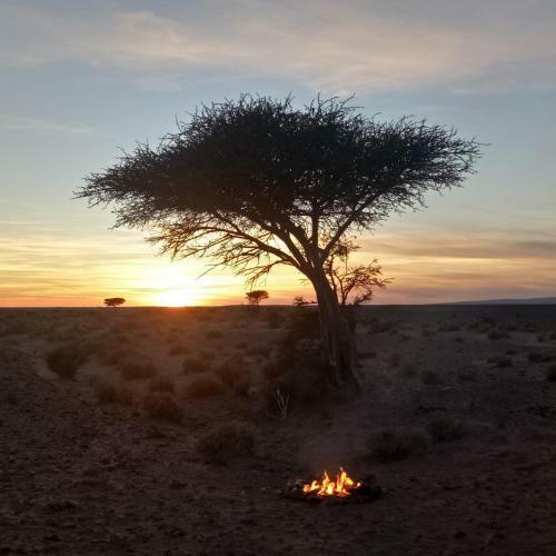 Lodge Sahara Peace