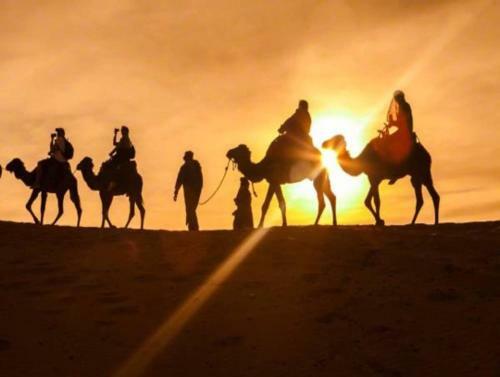 Lodge Sahara Peace