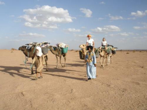Lodge Sahara Peace