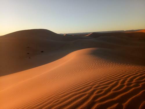 Lodge Sahara Peace