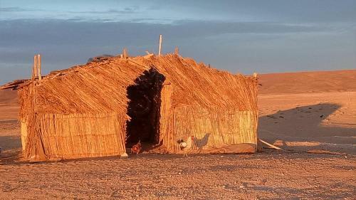 Lodge Sahara Peace