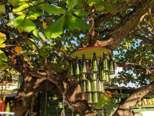 Hostal Green Garden House San Andr�s, Islas