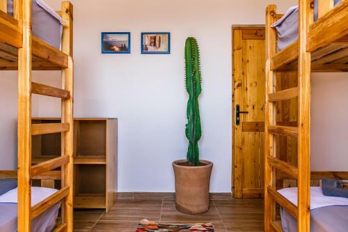 Hostal Sun House Morocco