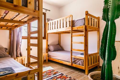 Hostal Sun House Morocco