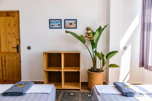 Hostal Sun House Morocco