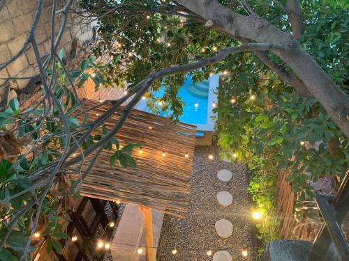 Musa Casa Boutique