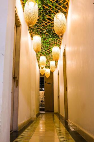 Musa Casa Boutique