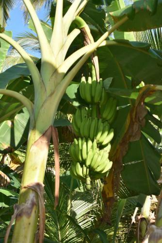 Casa Campo Rinc�n Del R�o