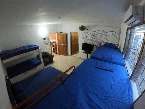 Bed & Breakfast Bigfish Taganga