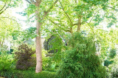 Hostal Curzon House Hotel