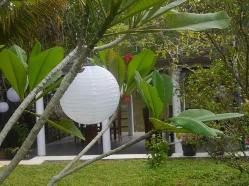 Bed & Breakfast Villa Layanga - Riverside Guestrooms