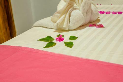 Hotel Ecoland Resort