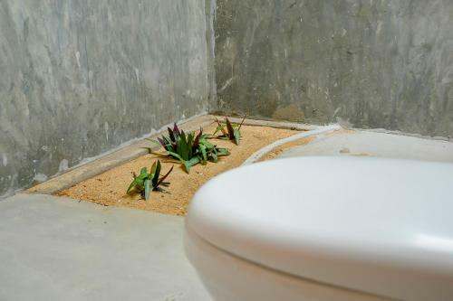 Hotel Ecoland Resort