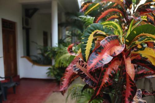 Sandy Bay Hotel Arugambay