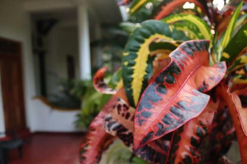 Sandy Bay Hotel Arugambay