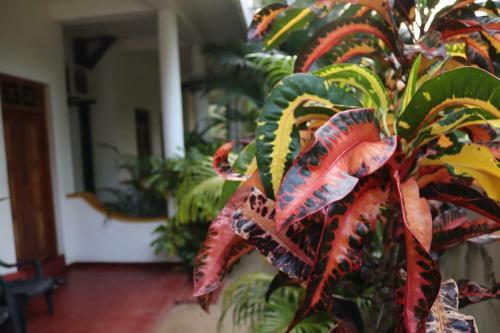 Sandy Bay Hotel Arugambay